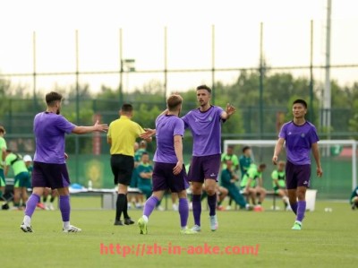 澳客足彩-世俱杯历史球队传球失误率分析与比赛结果关系研究